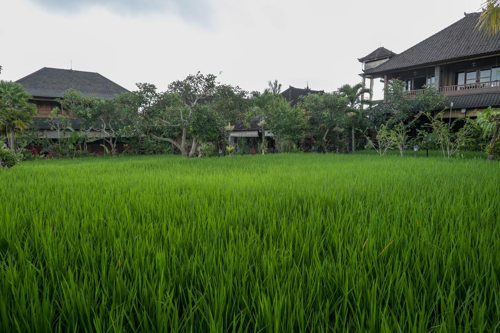 Bliss 4* Ubud